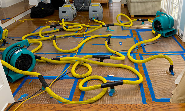 Professional Water Damage Restoration technician working in Piedmont, MO